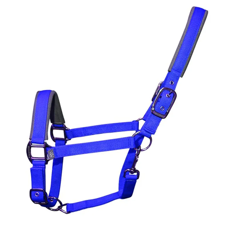 Woof Wear Contour Headcollar in Electric Blue